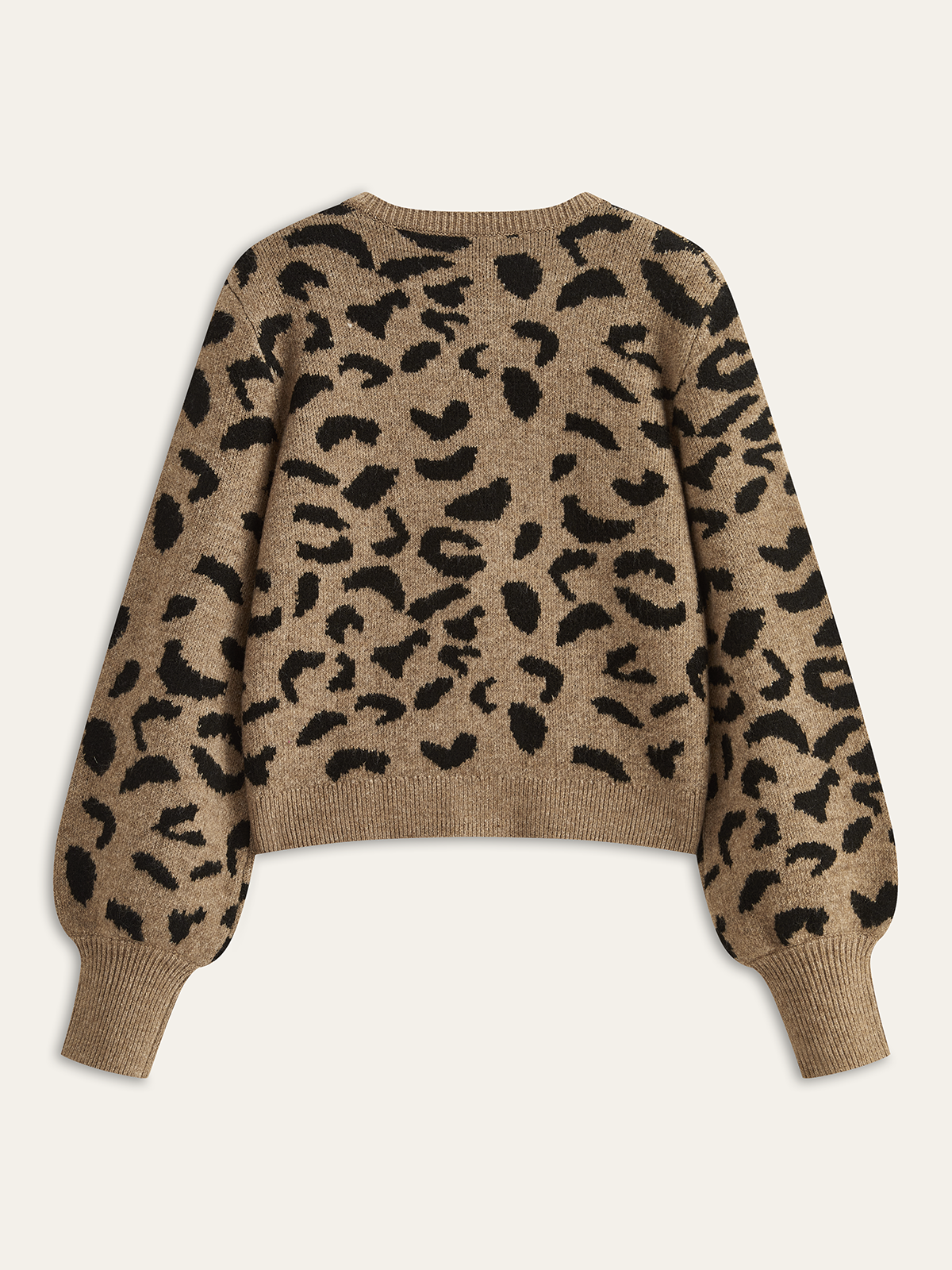 Leopard print knit top with bow